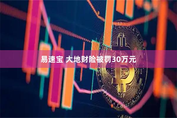 易速宝 大地财险被罚30万元