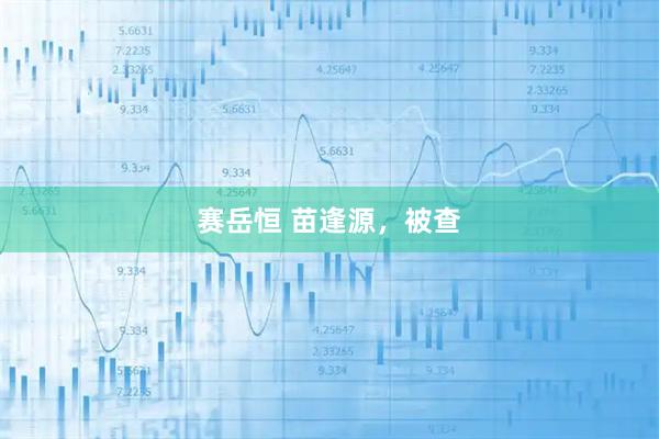 赛岳恒 苗逢源，被查