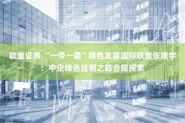 欧皇证券 “一带一路”绿色发展国际联盟张建宇：中企绿色丝绸之路合规探索
