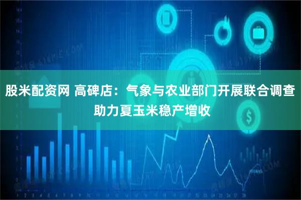 股米配资网 高碑店：气象与农业部门开展联合调查 助力夏玉米稳产增收