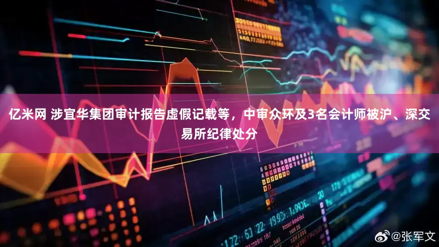 亿米网 涉宜华集团审计报告虚假记载等，中审众环及3名会计师被沪、深交易所纪律处分