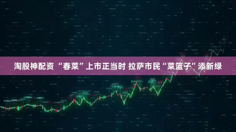 淘股神配资 “春菜”上市正当时 拉萨市民“菜篮子”添新绿